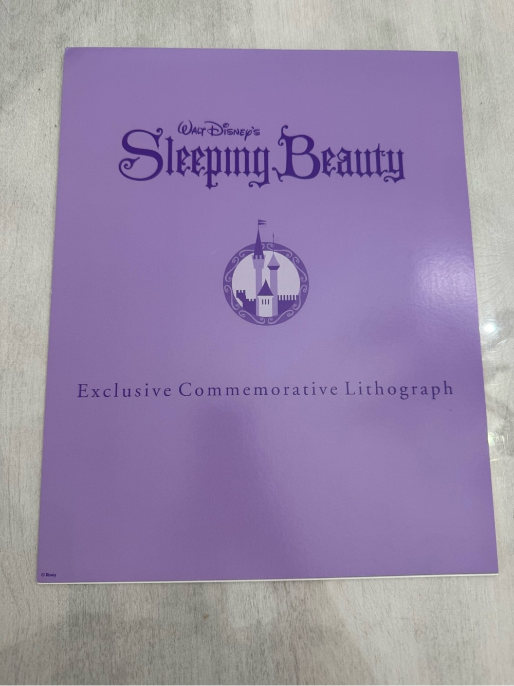 Vintage The Disney Store Sleeping Beauty 11”x 14” Commemorative Lithograph - Picture 4 of 4